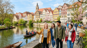 Küchenoberflächen schonend reinigen: Bio-Reinigungsmittel im Vergleich